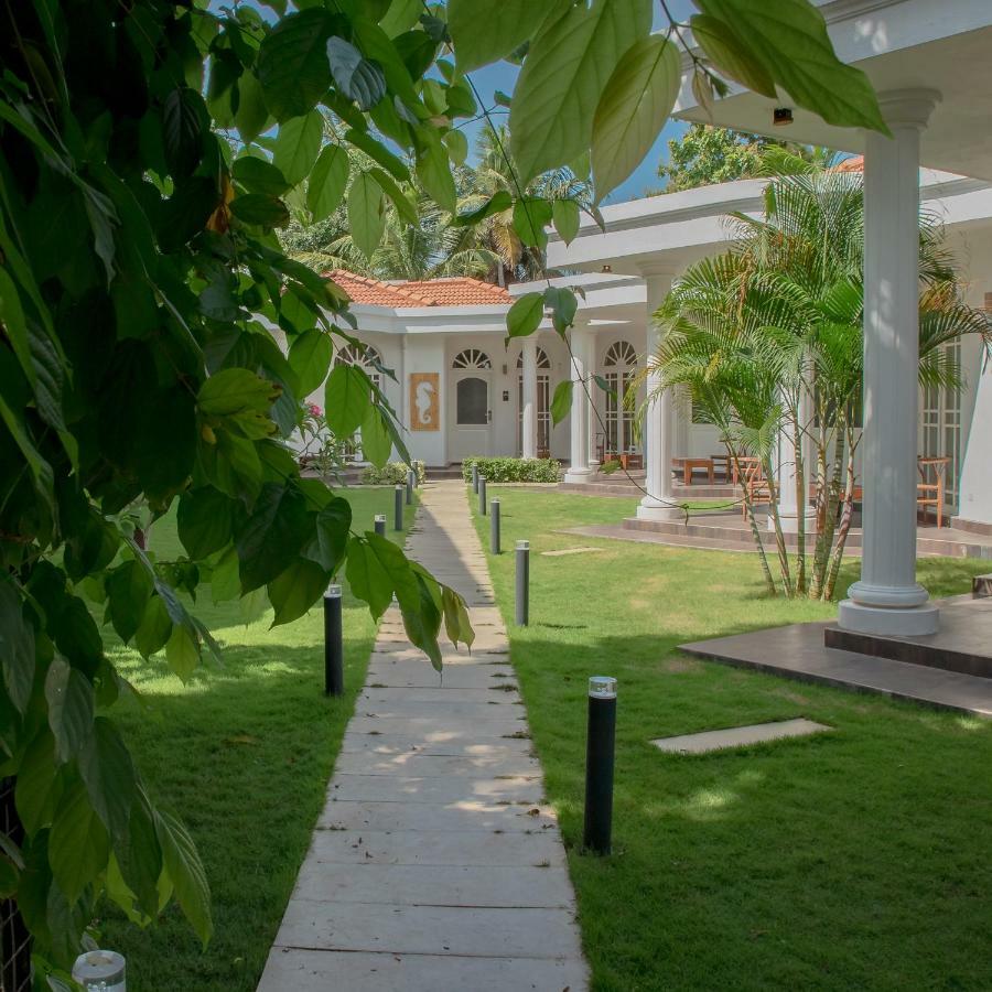 Seahorse Hotel & Spa نيجومبو المظهر الخارجي الصورة