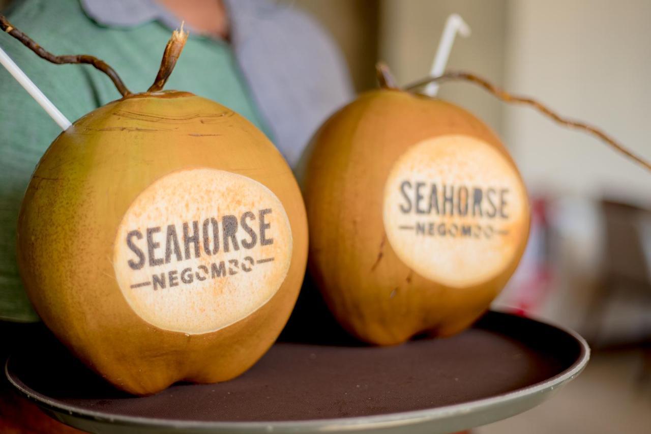 Seahorse Hotel & Spa نيجومبو المظهر الخارجي الصورة